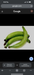 Platano Barahonero